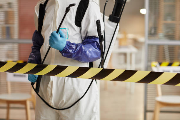 Professional Sewage Cleanup technician working in Coleman, MI