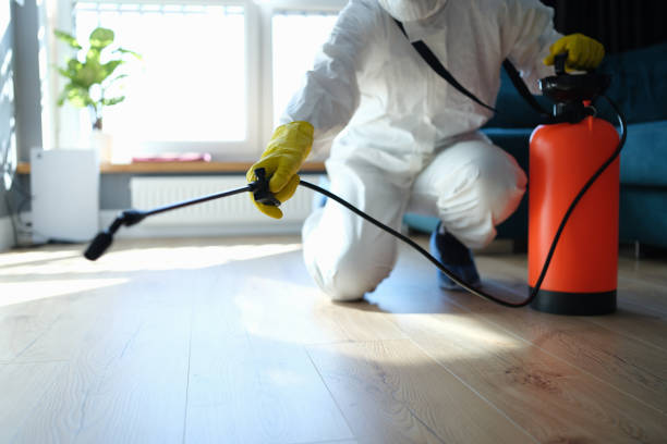 Trusted Sewage Cleanup service in Coleman, MI - Four Month Blood Cleanse